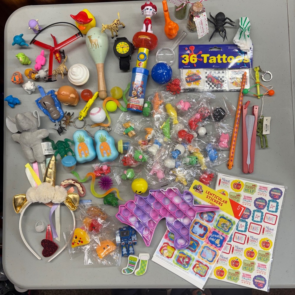 Kids Toy Lot Classroom Prize Box Potty Training Rewards School Party Favors